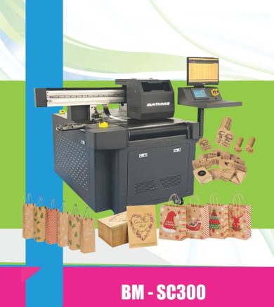 thumb-bm-sc300